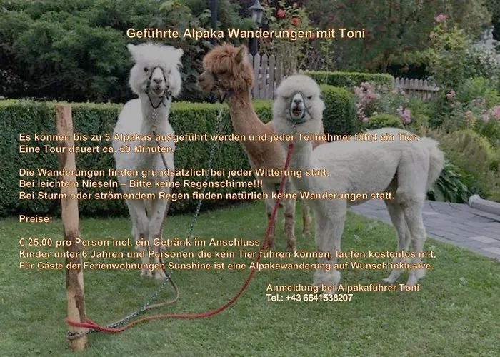 Sunshine مزرعة للإقامة ستام